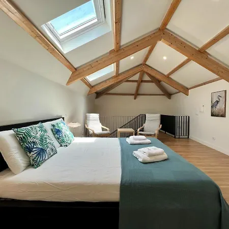 Design 7 By Homing *